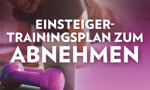 Dein Trainingsplan zum Download